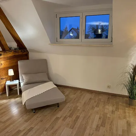 Relaxing Apartament Flachslanden